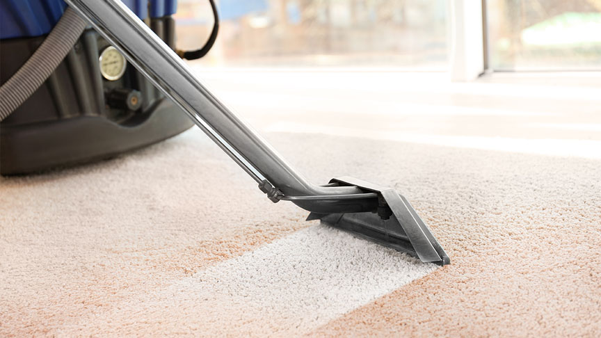Carpet Cleaning | Wet Carpet | Dry Carpet Cleaning | The Specialists